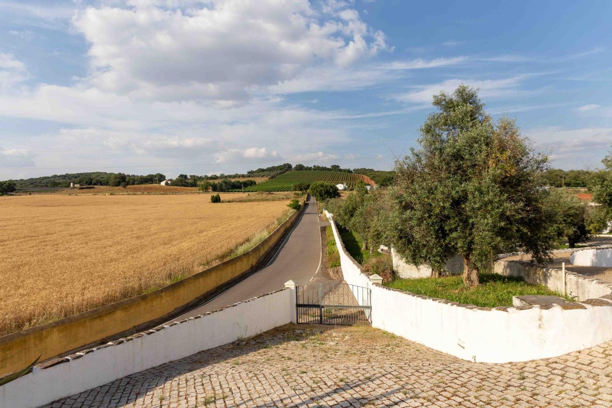 Monte Das Oliveiras - Casas De Campo Эштремош Экстерьер фото
