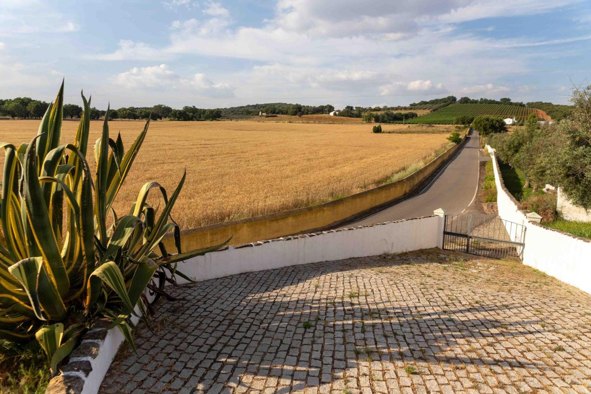 Monte Das Oliveiras - Casas De Campo Эштремош Экстерьер фото