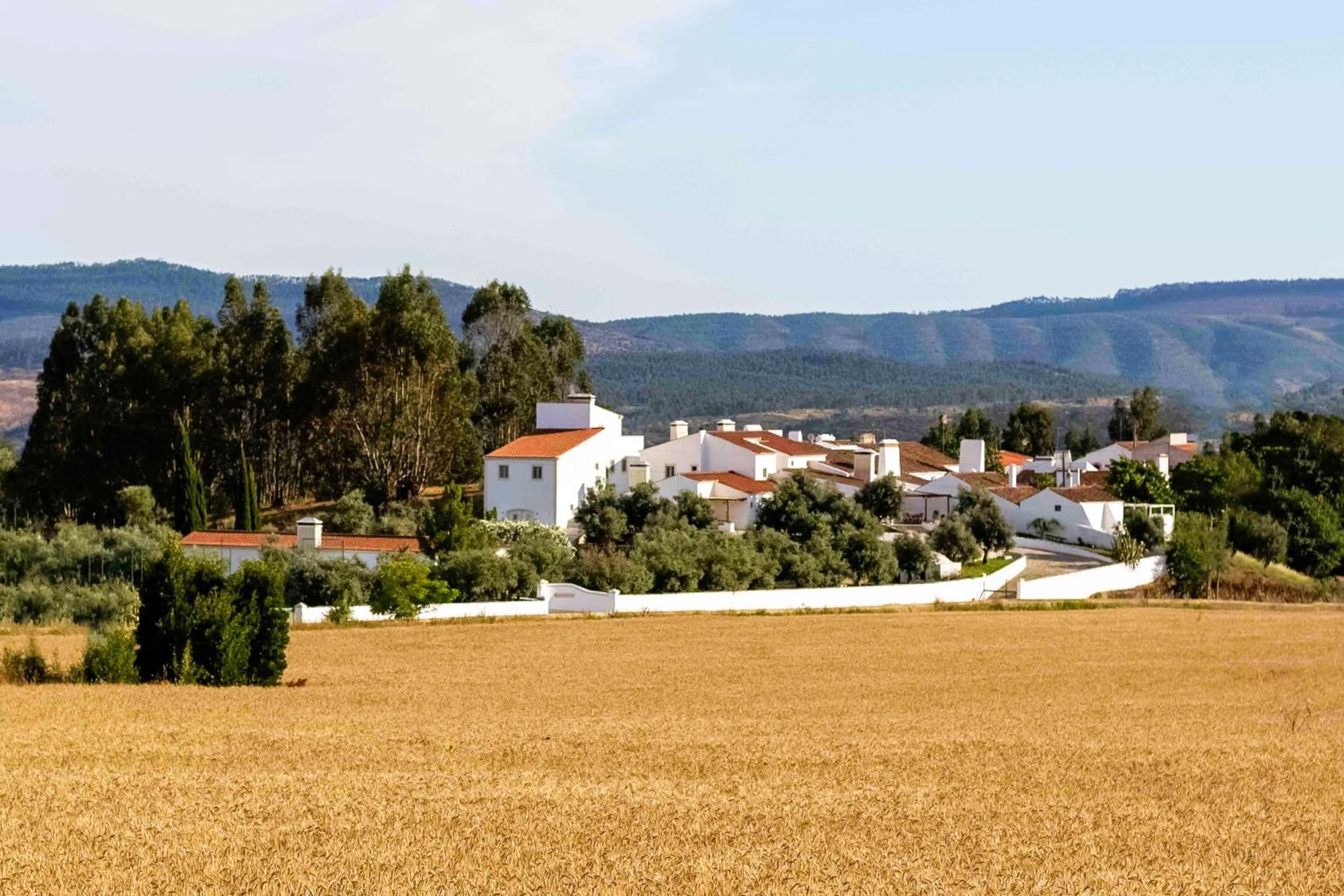Monte Das Oliveiras - Casas De Campo Эштремош Экстерьер фото